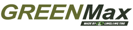 Green Max Logo