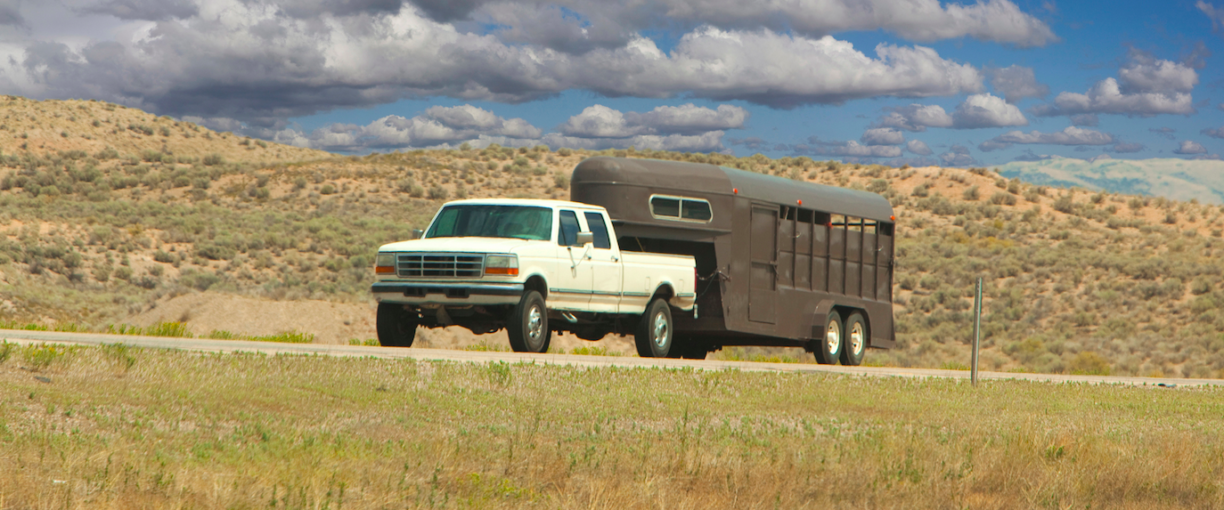 What are the Best Horse Trailer Tires? The TiresEasy Blog