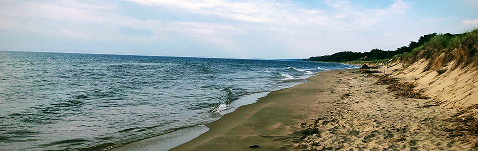 Lake Shore Drive Chicago