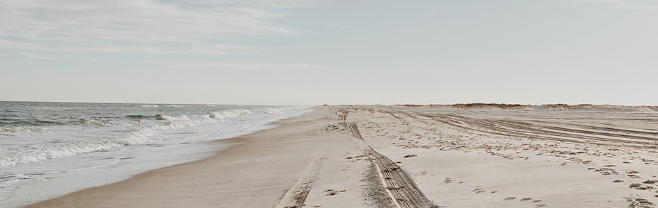 Assateague Island Campgrounds Maryland