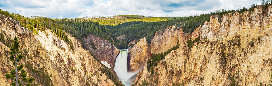 Yellowstone National Park Wyoming