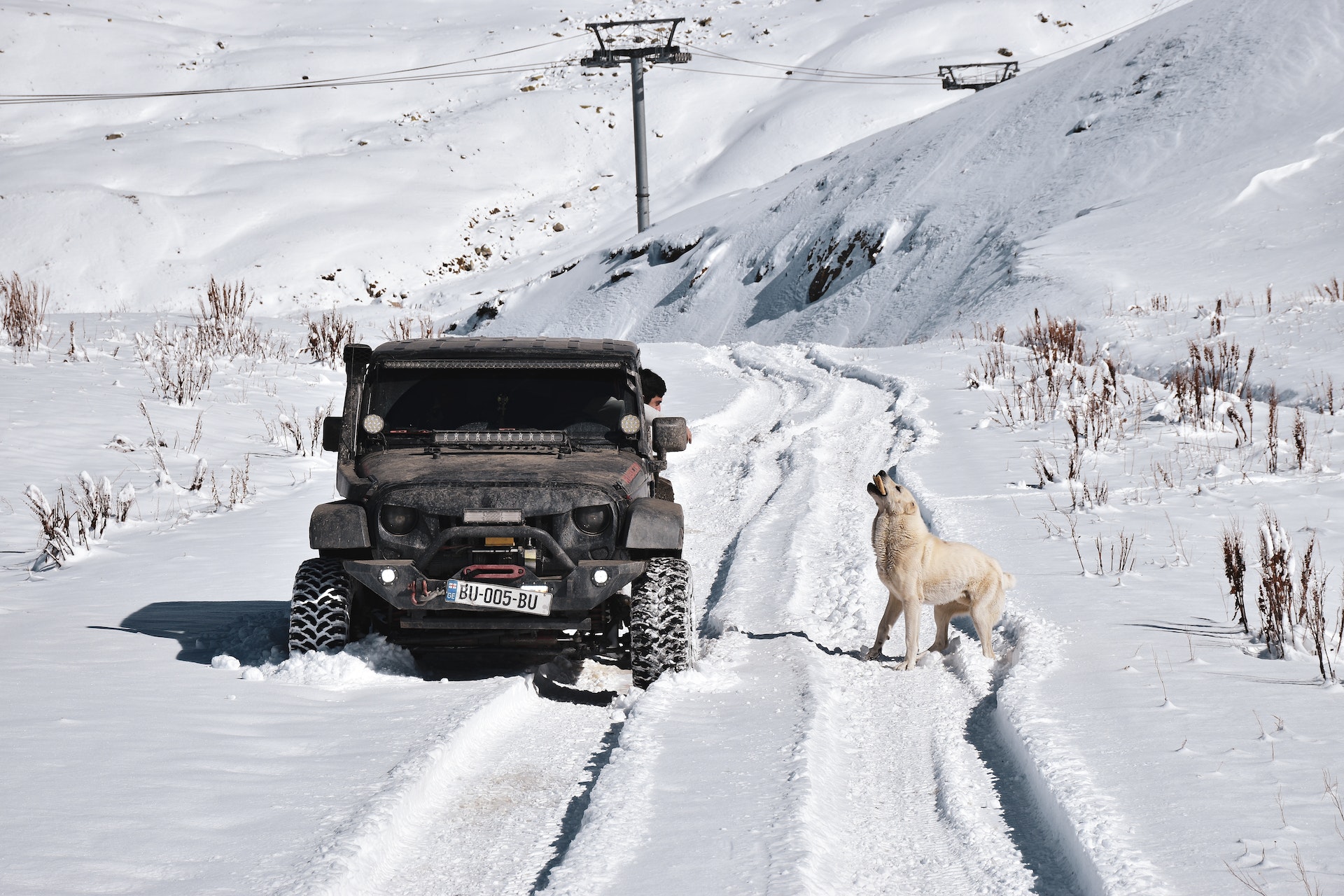 July 2024 Snow Tires A Powerful Key to YearRound Traction Tires