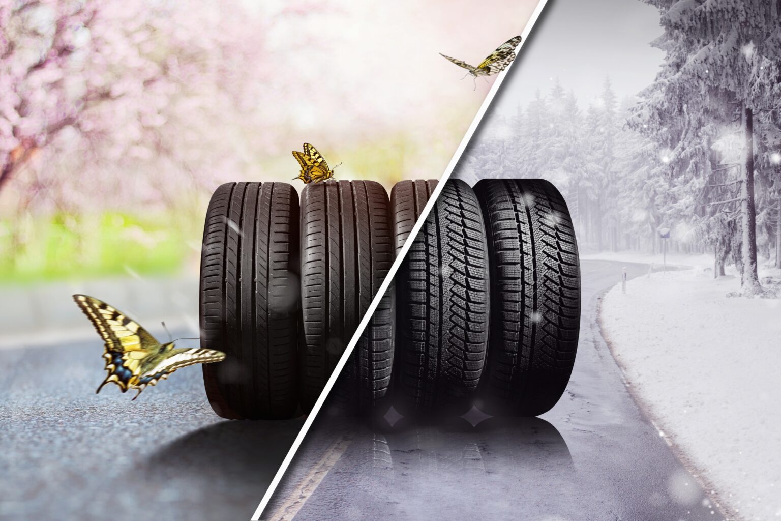 September 2024 AllSeason vs. AllWeather Tires Unraveling the