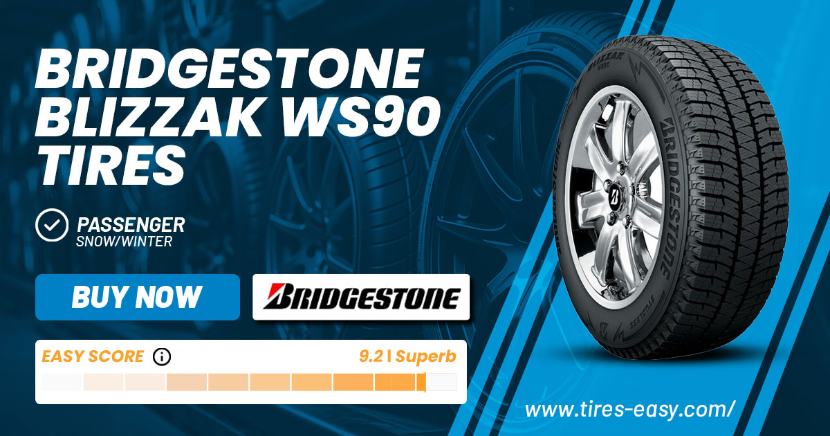 Bridgestone Blizzak WS90