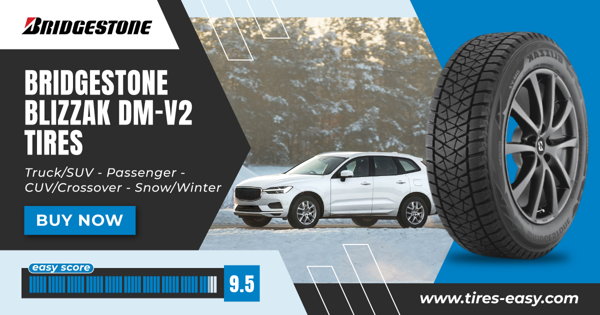 Bridgestone Blizzak DM-V2
