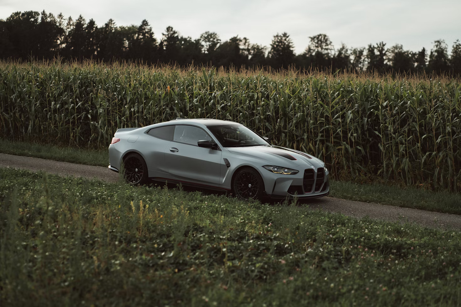 All-Season Vs. Winter Tires In Snow