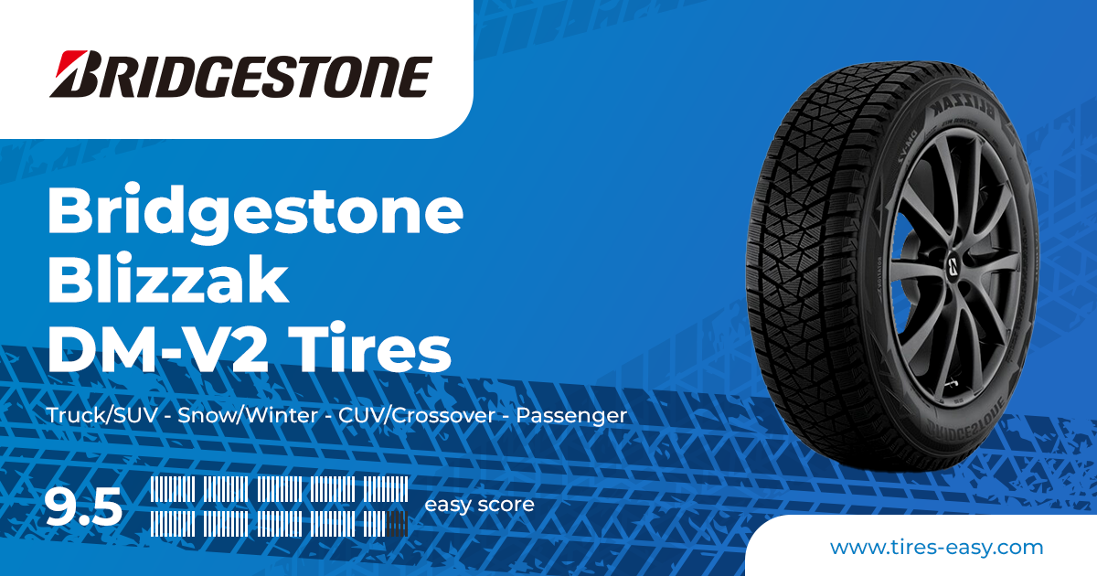 Bridgestone Blizzak DM-V2