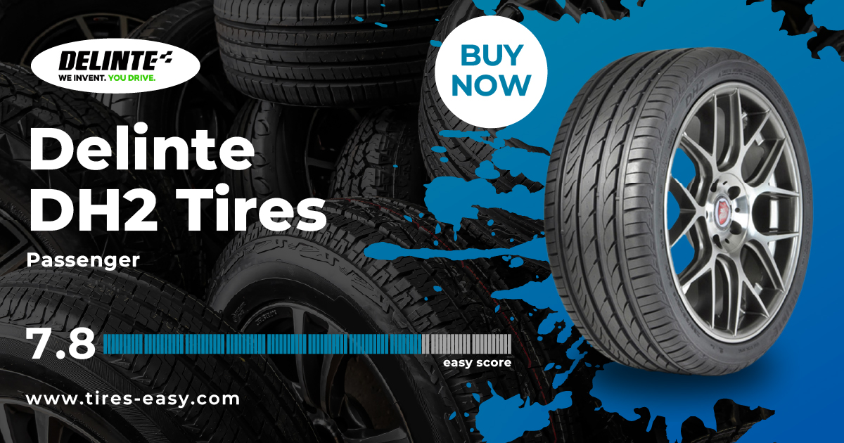 Delinte DH2