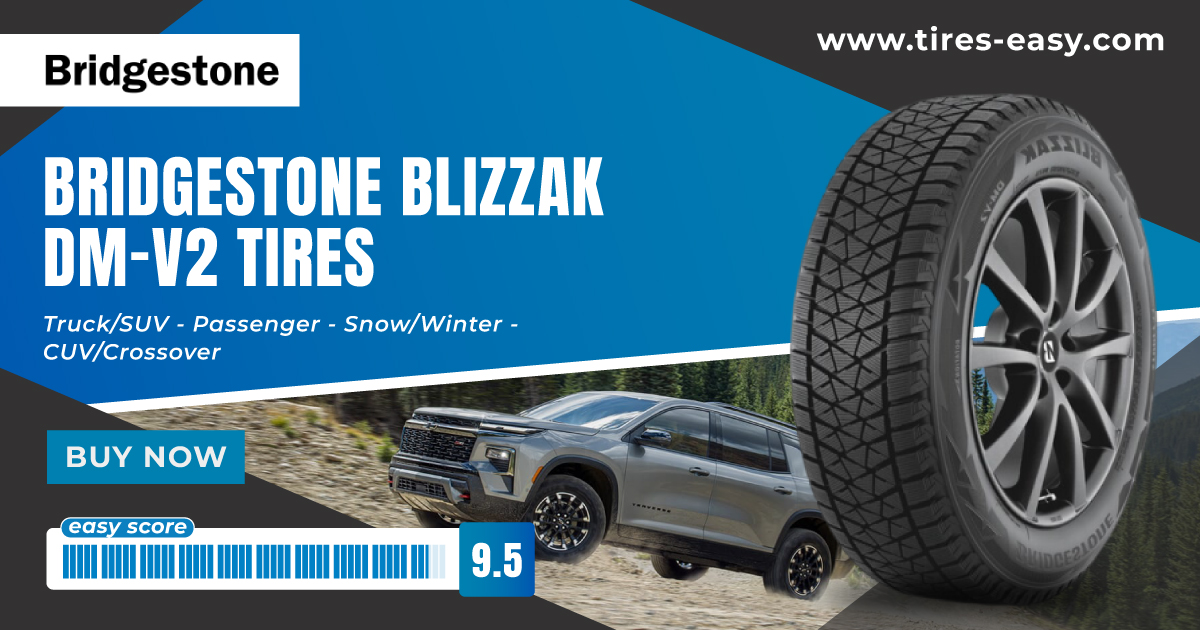 Bridgestone Blizzak DM-V2
