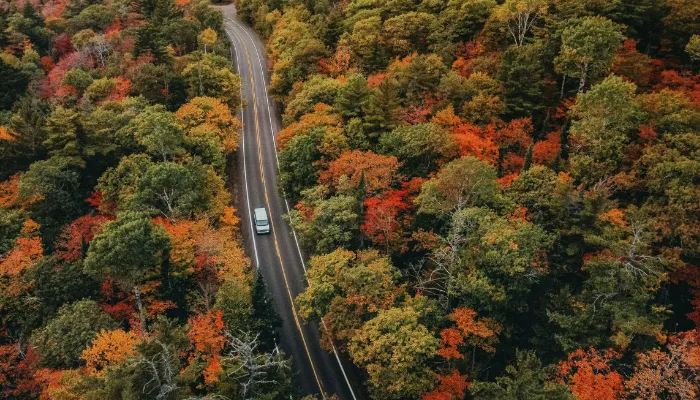 All-Weather vs. All-Season Tires Which One Do You Really Need This Fall