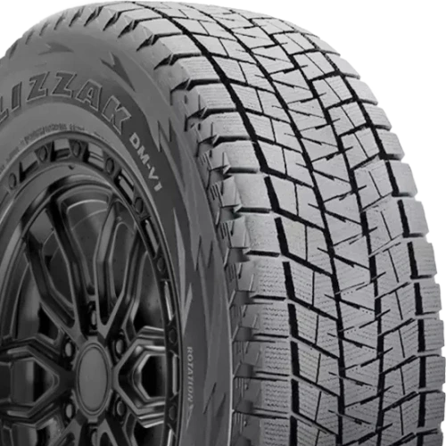 Bridgestone Blizzak DM-V1