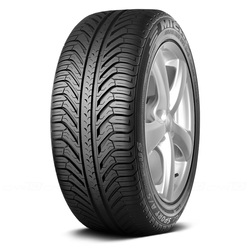63039 Michelin Pilot Sport A/S Plus 255/45R19 100V BSW Tires