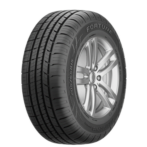 fortune-fsr602.jpeg