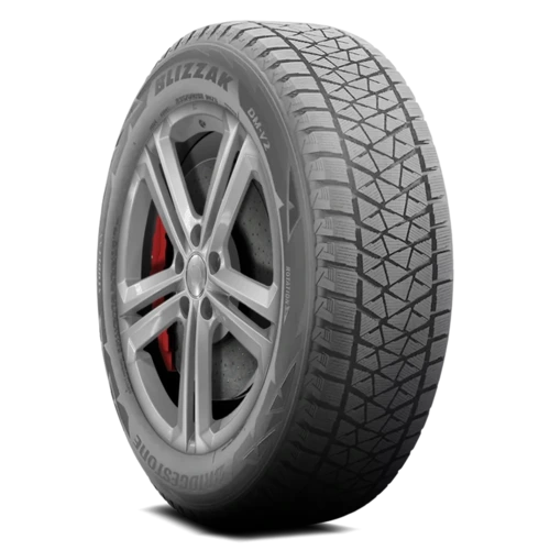 Bridgestone Blizzak DM-V2