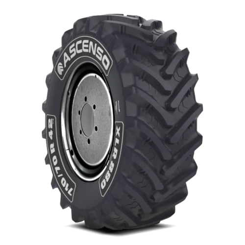 Ascenso XLR 880