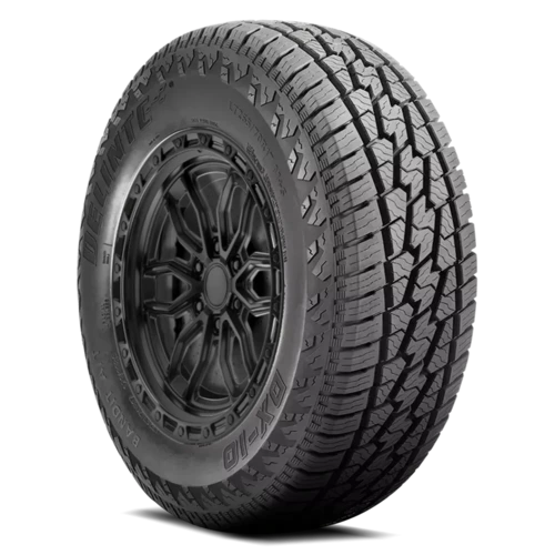 Delinte DX10 Bandit A/T