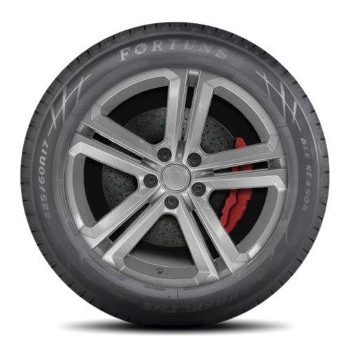 Fortune Perfectus FSR602