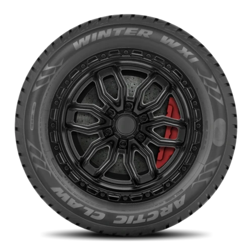 Arctic Claw Winter WXI