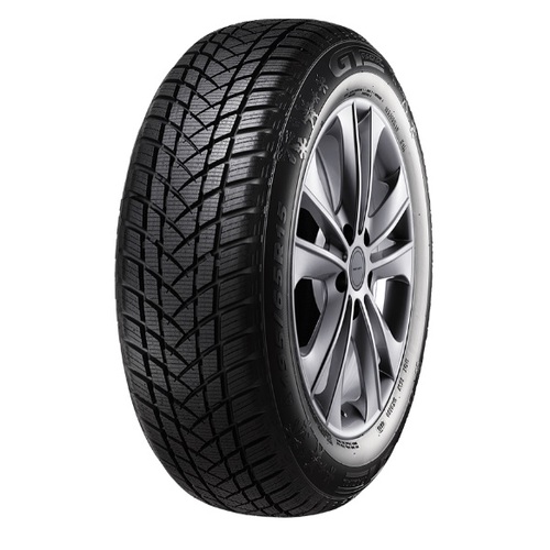 Radial Winterpro Tires 2 GT