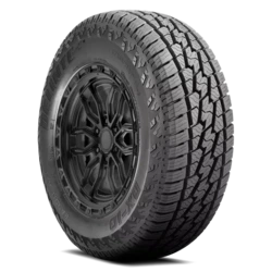 009500 Delinte DX10 Bandit A/T LT235/85R16 E/10PLY BSW Tires