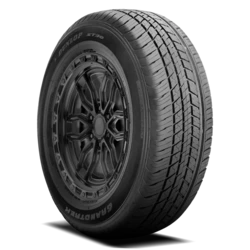 290126787 Dunlop Grandtrek ST30 225/60R18 100H BSW Tires