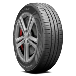 RACEIN0005 Radar Dimax eTouring 1 205/65R15 94H BSW Tires