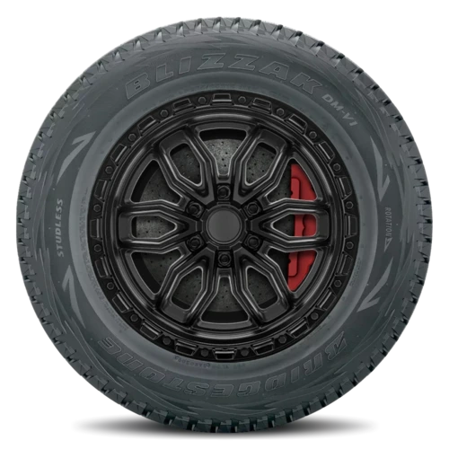 Bridgestone Blizzak DM-V1