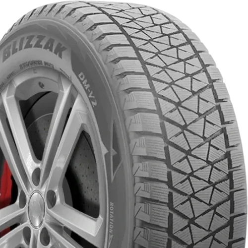 Bridgestone Blizzak DM-V2