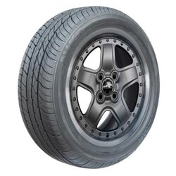 N34417 Nika Avatar 205/55R16 91V BSW Tires