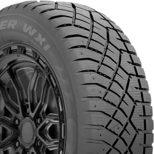 Arctic Claw Winter WXI