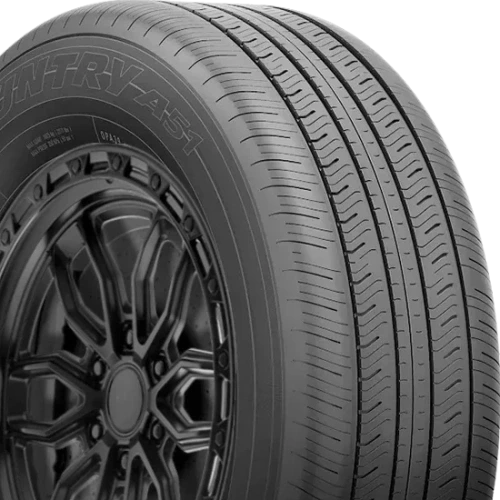 Toyo Open Country A51
