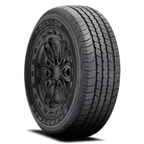 Dunlop Grandtrek AT20