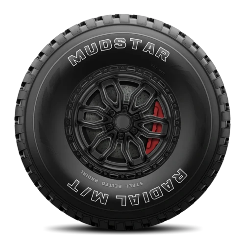 Nankang Mudstar Radial M/T N889 LT245/75R16 E/10PLY WL |