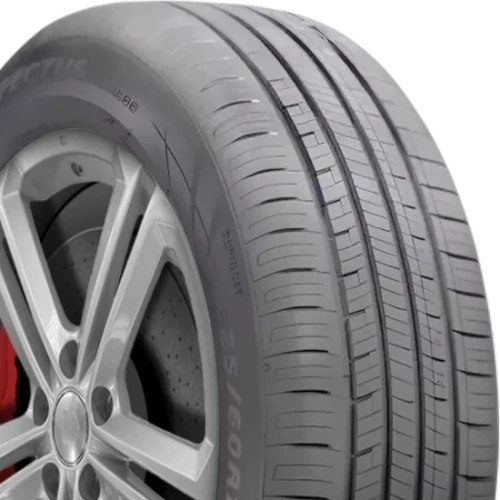 Fortune Perfectus FSR602