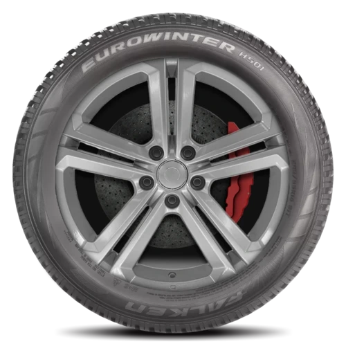 Falken Eurowinter HS01