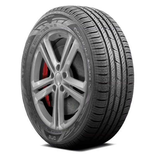 Nokian One