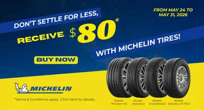 Michelin Spring Online Extension Promotion