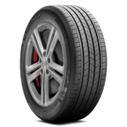 10048 Michelin Primacy A/S 255/45R21XL 106W BSW Tires