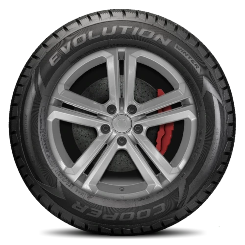 Cooper Evolution Winter