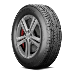 7000309 Vitour Polar Bear W1 195/60R15 88T BSW Tires