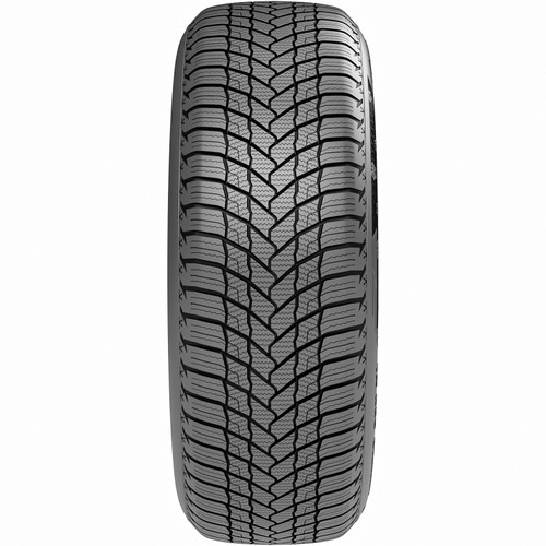 Otani WE1000 195/65R15 91T BSW Tires
