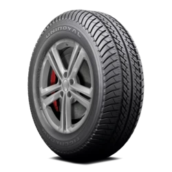 08059 Uniroyal Tiger Paw AWP II P175/70R14 84T BSW Tires