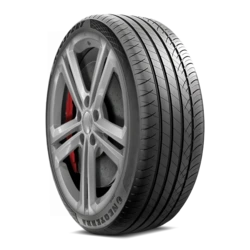 6959613723629 NeoTerra NeoSport 305/40R22XL 114W BSW Tires