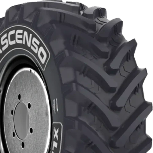 Ascenso XLR 880