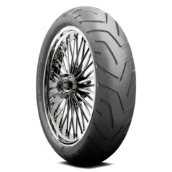 008624 Bridgestone Battlax Adventure A41 190/55R17 75W BSW Tires