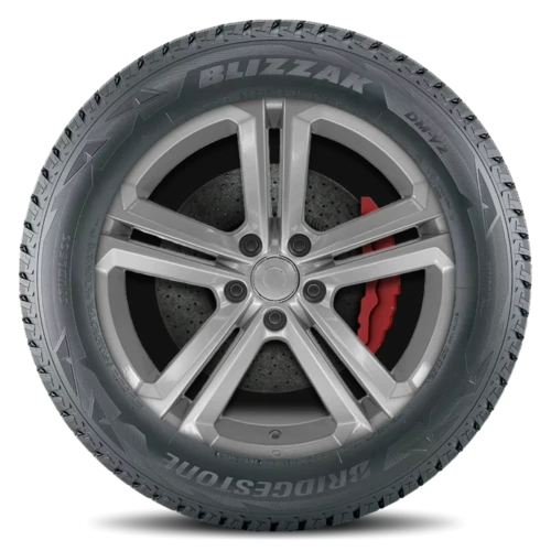 Bridgestone Blizzak DM-V2