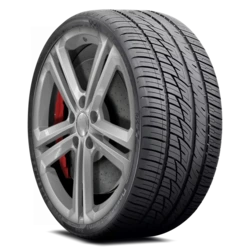 805379 Delinte DS8 295/30R22XL 110W BSW Tires