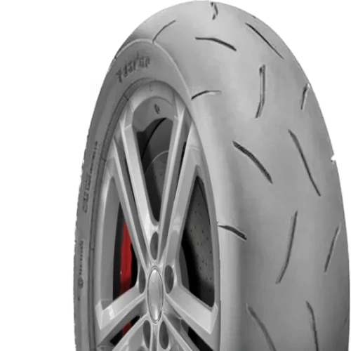 Dunlop TT93GP Pro