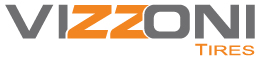 Vizzoni Logo