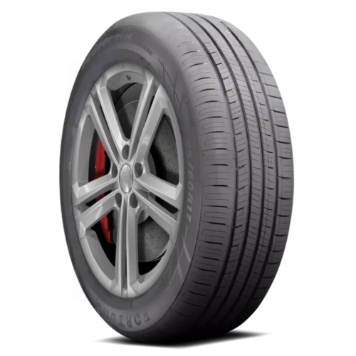 Fortune Perfectus FSR602
